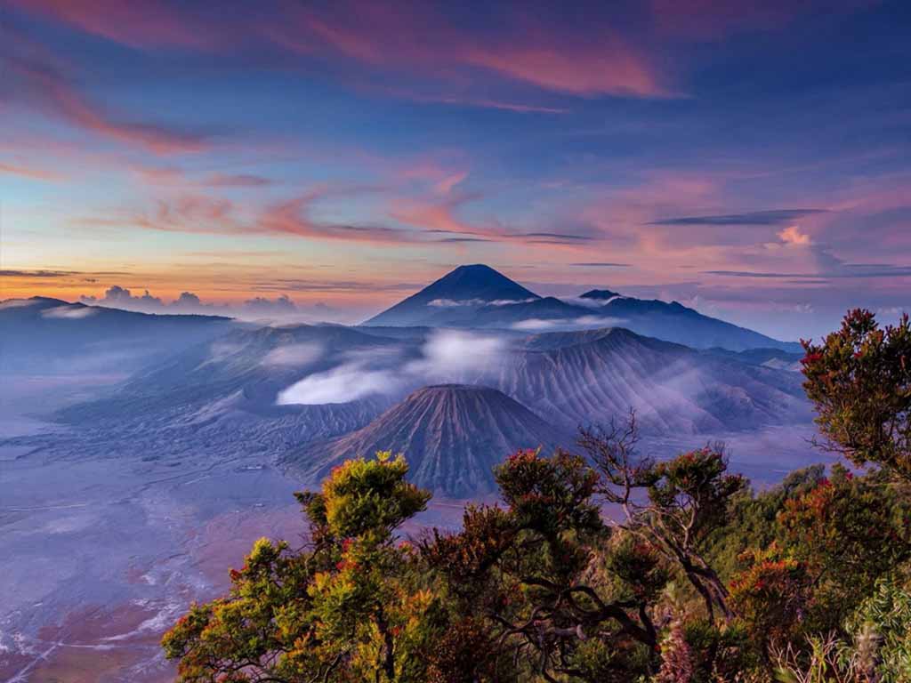 PAKET WISATA MALANG BROMO PAKET WISATA BROMO
