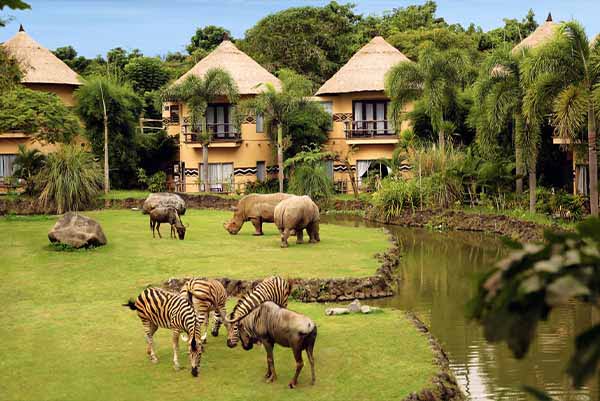 PAKET TOUR BALI 3D2N BALI SAFARI AND MARINE PARK