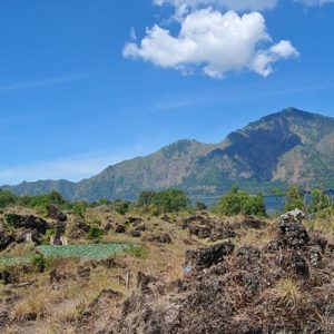 PAKET TOUR BALI 3D2N KINTAMANI