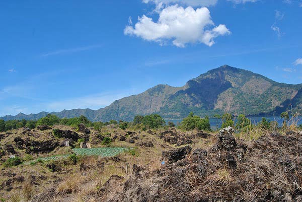 PAKET TOUR BALI 3D2N KINTAMANI