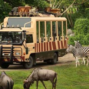 PAKET TOUR BALI 4D3N BALI SAFARI AND MARINE PARK