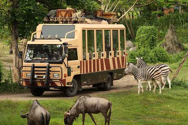 PAKET TOUR BALI 4D3N BALI SAFARI AND MARINE PARK PAKET TOUR BALI 4D3N BALI SAFARI AND MARINE PARK