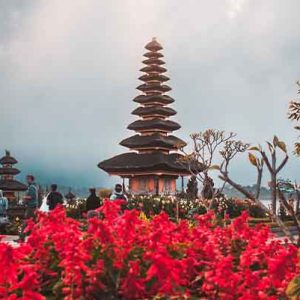 PAKET TOUR BALI 4D3N BEDUGUL