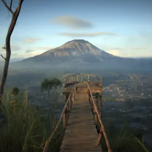 LAND TOUR 4D3N DOMESTIK + NUSA PENIDA