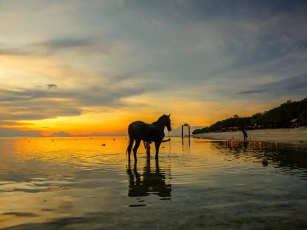 LOMBOK-GILI COMBO PAKET 03 HARI02 MALAM LOMBOK-GILI COMBO PAKET 03 HARI02 MALAM