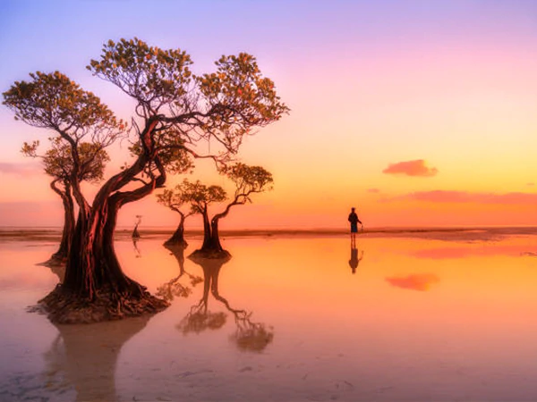 PAKET TOUR SUMBA 4 HARI 3 MALAM PAKET TOUR SUMBA 4 HARI 3 MALAM