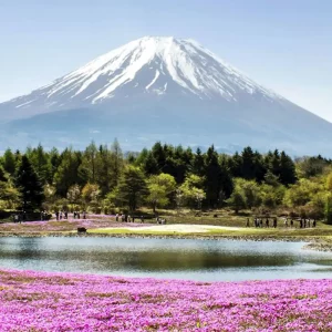 KIREI TOKYO + BRUNEI 8D (Tokyo - Mt Fuji - Kawaguchi - Yokohama - Brunei)