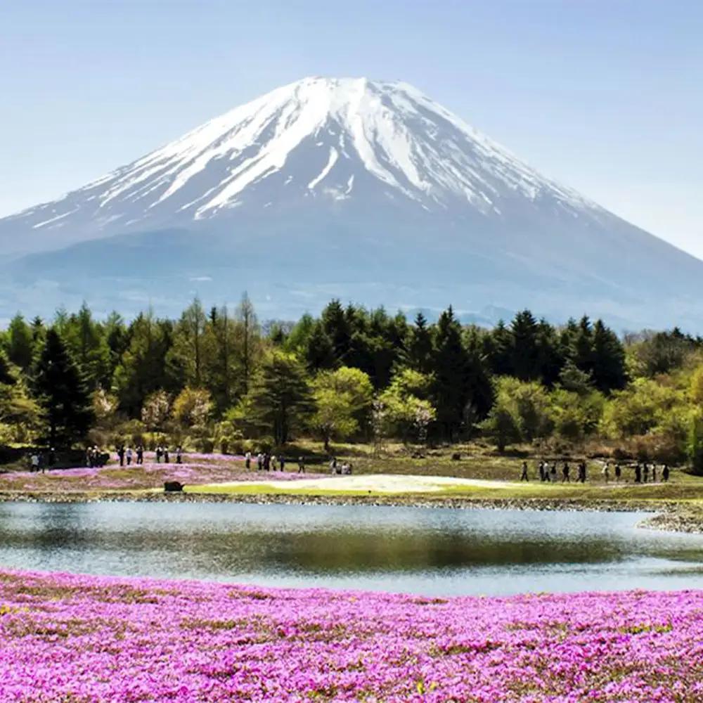 JAPAN TOKYO KIMONO + YOKOHAMA 7D4N