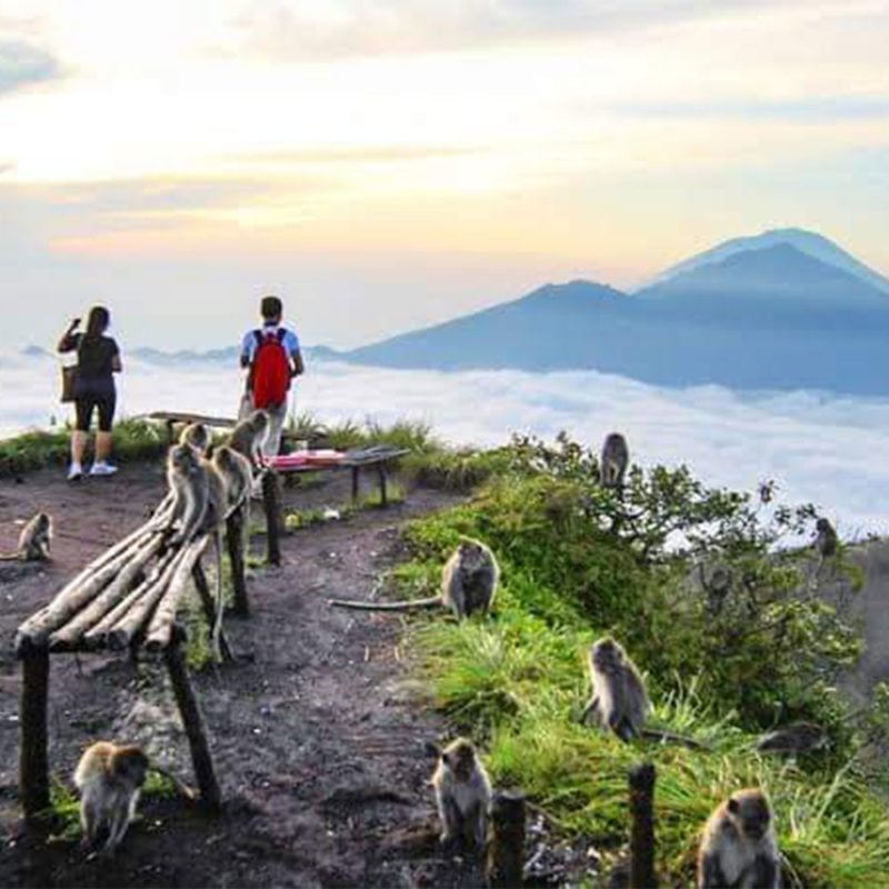 PAKET TOUR | PAKET WISATA | PAKET TRAVEL MURAH